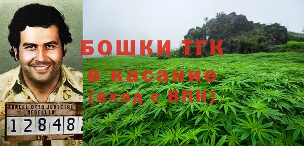 гидропоника Абаза