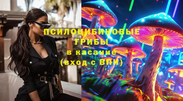 гидропоника Абаза