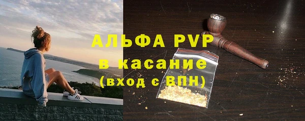 прущие грибы Нея