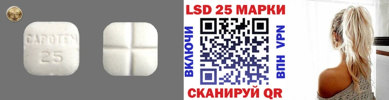 ЛСД экстази кислота  как найти закладки  Шенкурск 