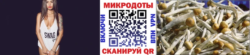 Псилоцибиновые грибы мухоморы  hydra ТОР  Шенкурск 