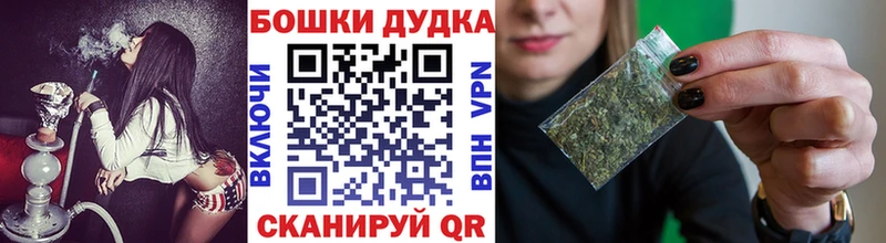 Каннабис конопля Шенкурск